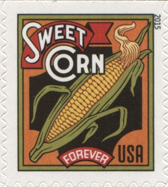 Harvest: Sweet Corn
