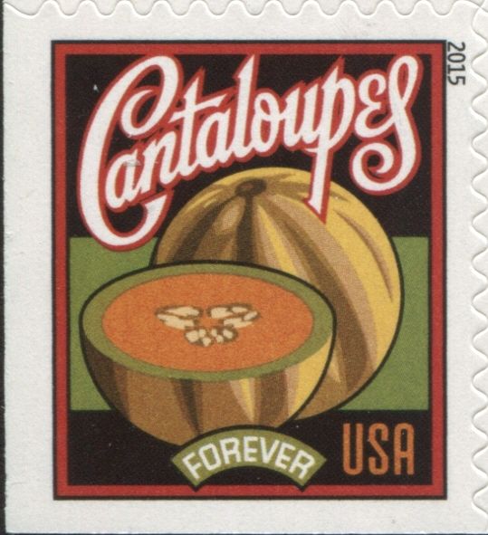 Cantaloupes