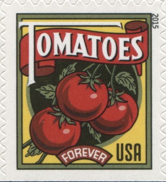 Harvest: Tomatoes