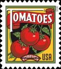 Harvest: Tomatoes