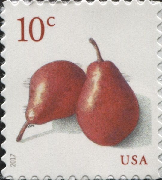 Pears