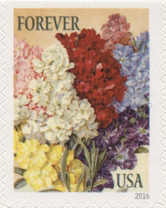 Botanical Art - Stocks