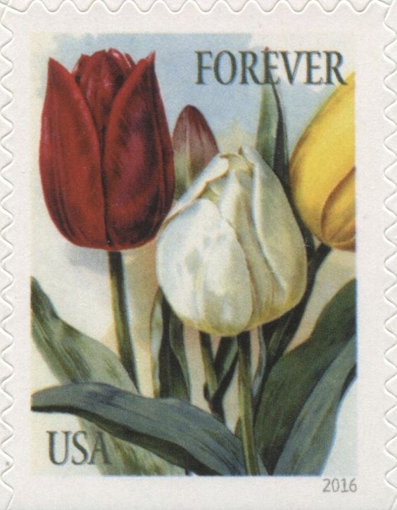 Botanical Art - Tulips