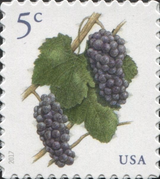 Grapes