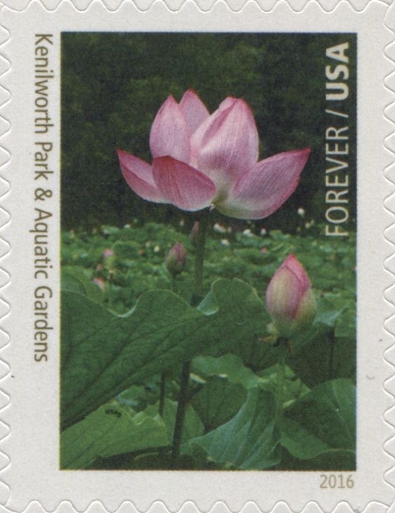 Kenilworth Park & Aquatic Gardens