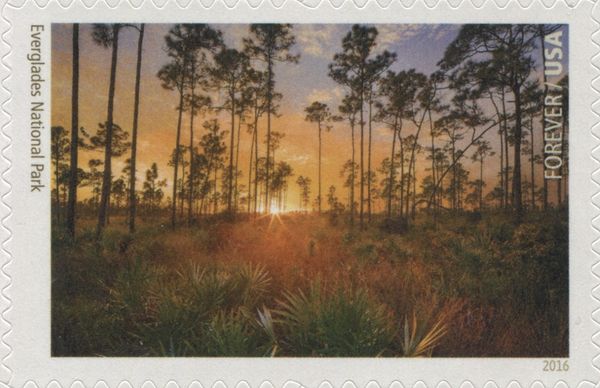 Everglades National Park
