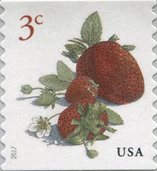 Strawberries