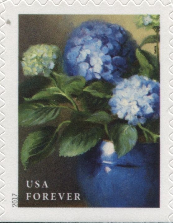 Blue Hydrangea - booklet