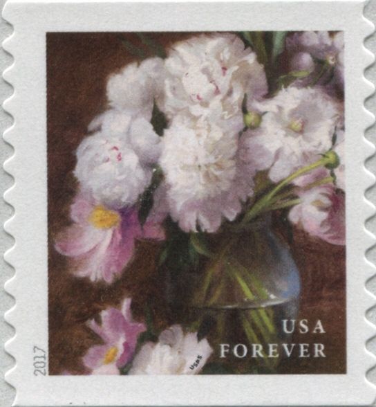 White and Pink Peonies - coil