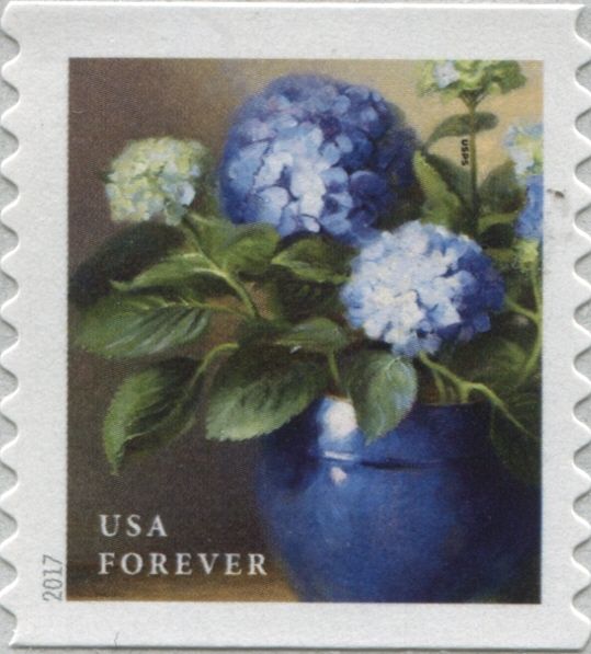 Blue Hydrangea - coil