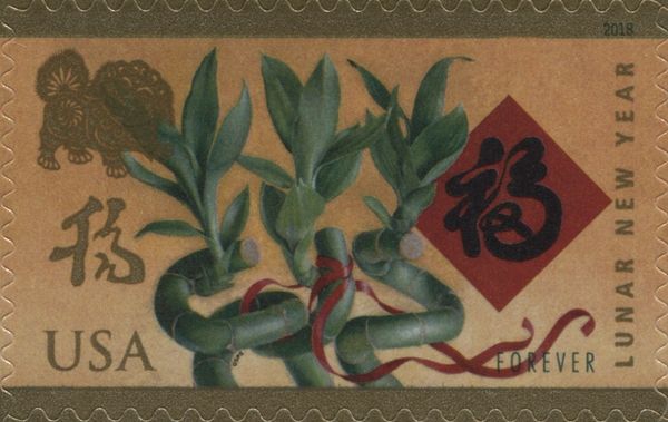 Year of the Dog 2018