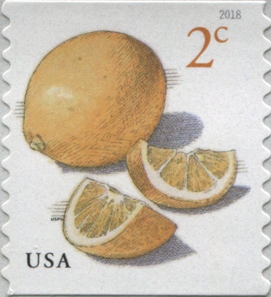 Fruit Definitive Series : Meyer Lemons