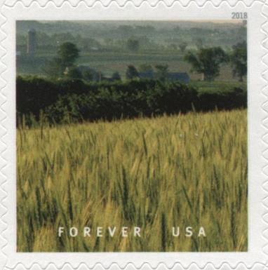Waves of Grain - Field of Wheat, Wisconsin