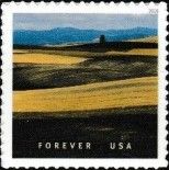 Waves of Grain - Plowed Wheat Field