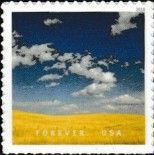 Waves of Grain - Montana