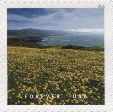 The Fruited Plain - Pigeon Point Pescadero,CA