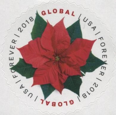 Poinsettia