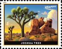 Joshua Tree National Park, California