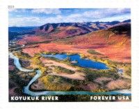 Koyukuk River