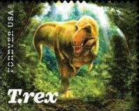 Tyrannosaurus Rex - Adult