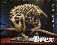 Tyrannosaurus Rex and Triceratops Skeletons