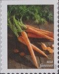 Carrots