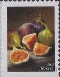 Figs
