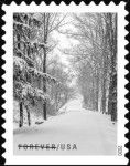 Snow-Covered Path