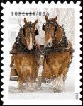 Horses Pulling Sleigh