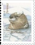 Otters in the Snow
