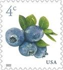 Blueberries (Coil Stamp)