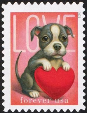 Love : Puppy