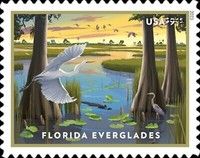 Florida Everglades