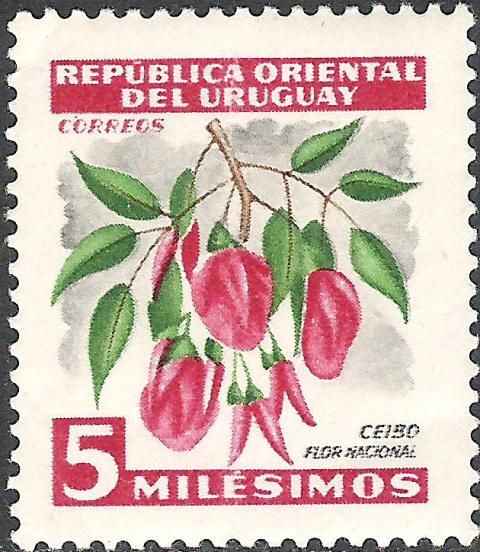 Ceibo (National Flower)