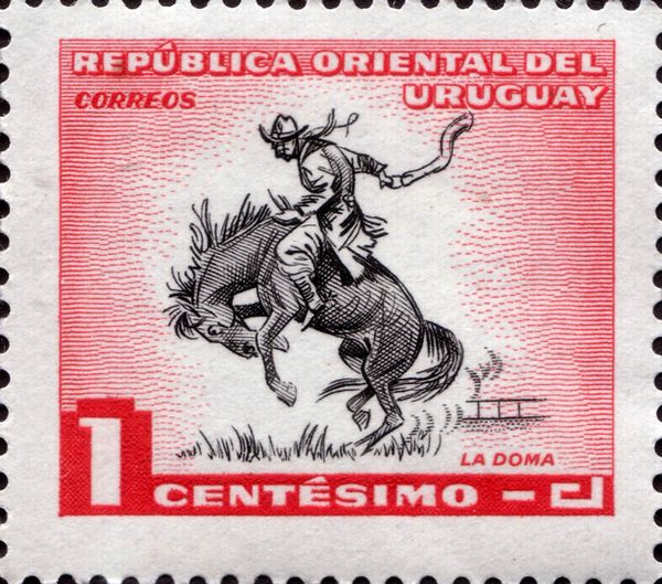 Gaucho breaking-in horse