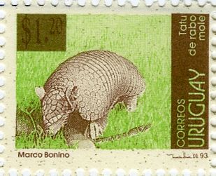 Greater Naked-tailed Armadillo (Cabassous tatouay) surcharge