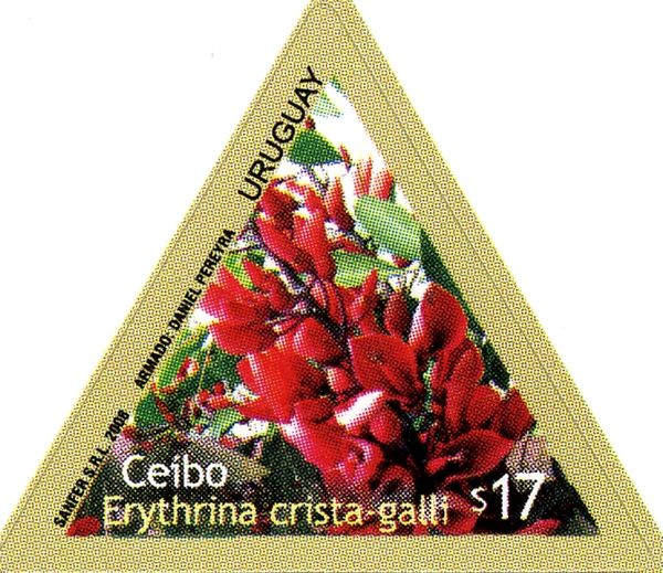 Ceibo (Erythrina crista-galli)