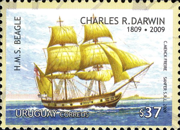 HMS Beagle