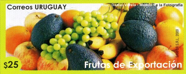 Appples, Grapes, Bananas and Avocados