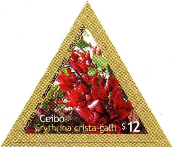 Ceibo (Erythrina crista-galli)