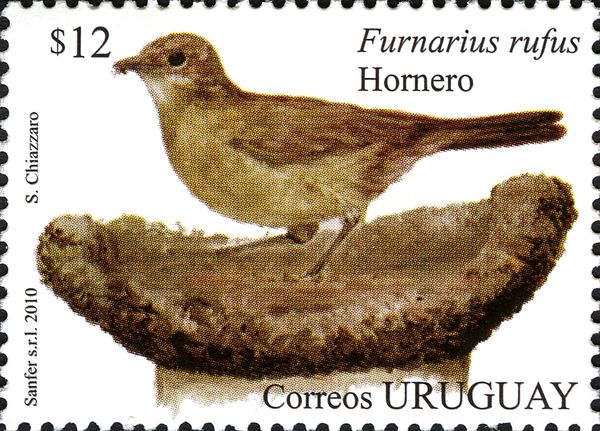 Rufous Hornero (Furnarius rufus)