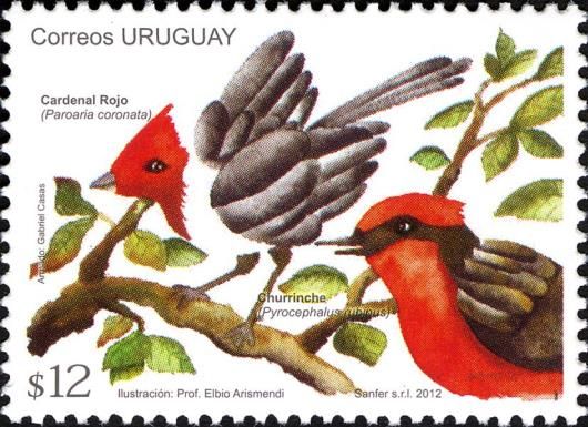 Red-crested Cardinal (Paroaria coronata), Vermilion Flycatch