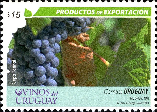 Wine grapes (Cepa tannai)