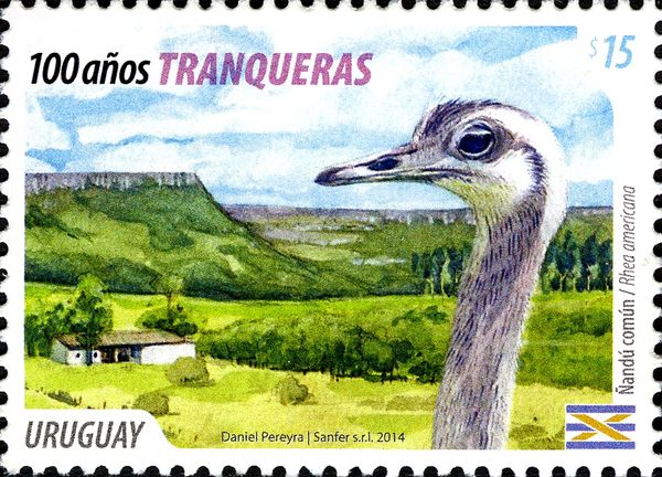 Greater Rhea (Rhea americana), Landscape