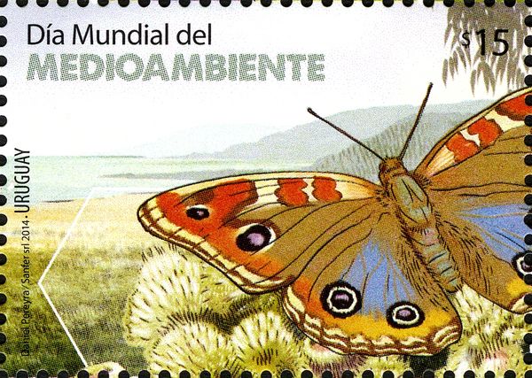 World Environment Day
