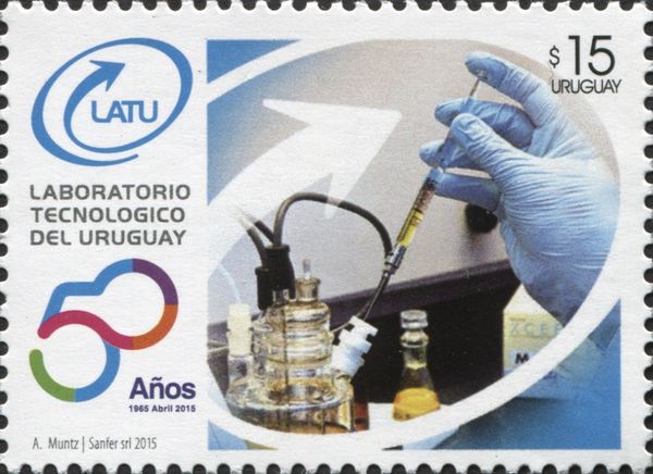Scientist working in Laboratory