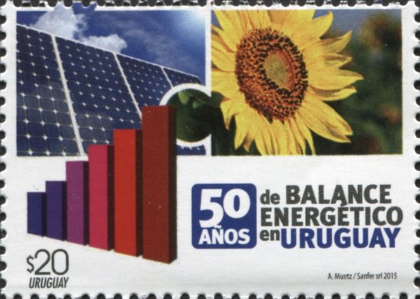 Solar Panels and Sunflower