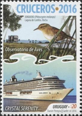 Crystal Serenity, Wren-like Rushbird (Phleocryptes melanops)