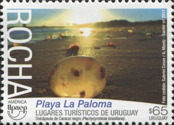 Tourism: Rocha- La Paloma Beach