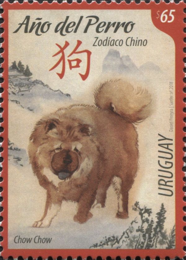 Year of the Dog 2018 - Chow Chow